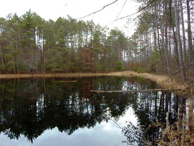 Property Photo:  On Schmidtbauer Rd  WI 54487 