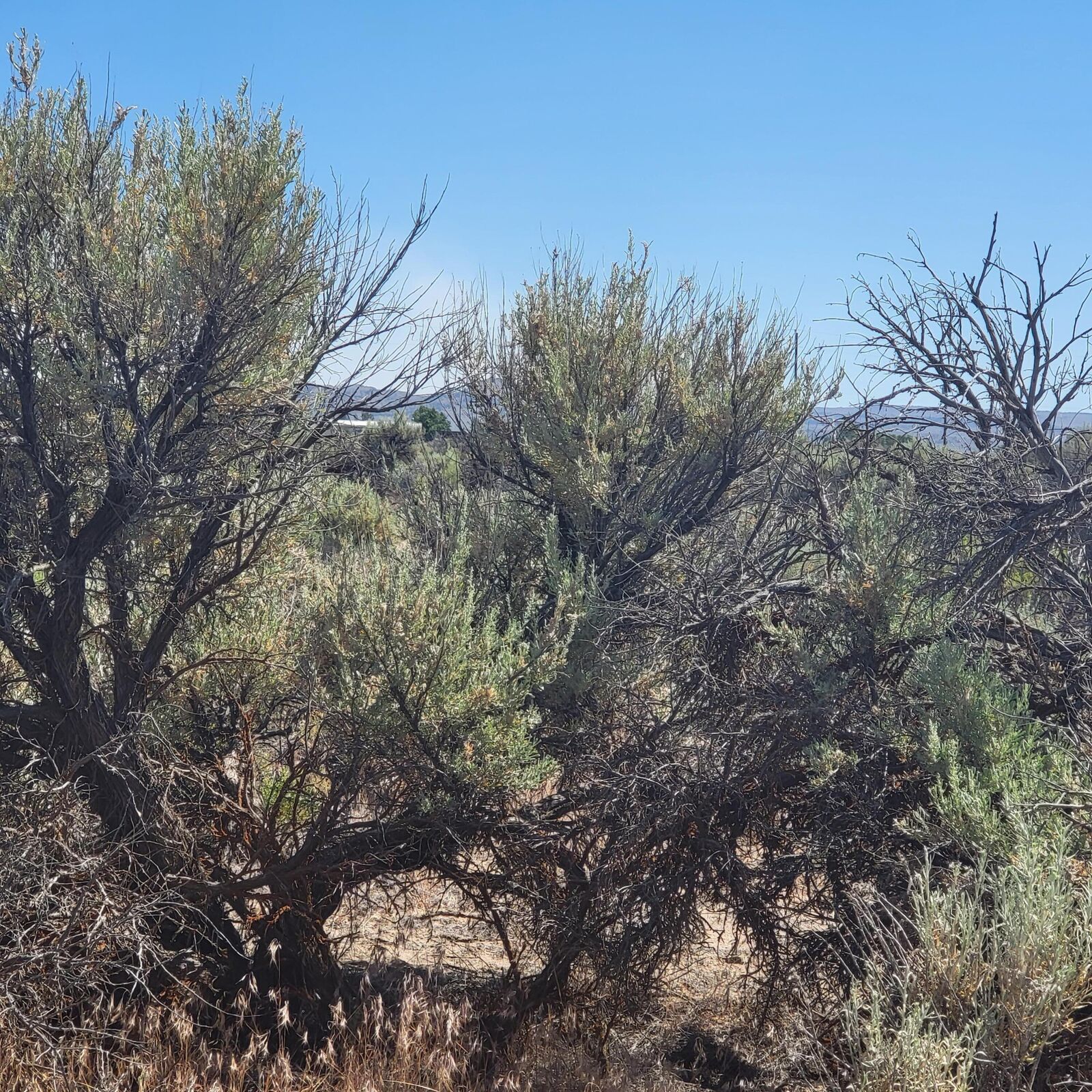 Property Photo:  4000 Lark Street  OR 97641 