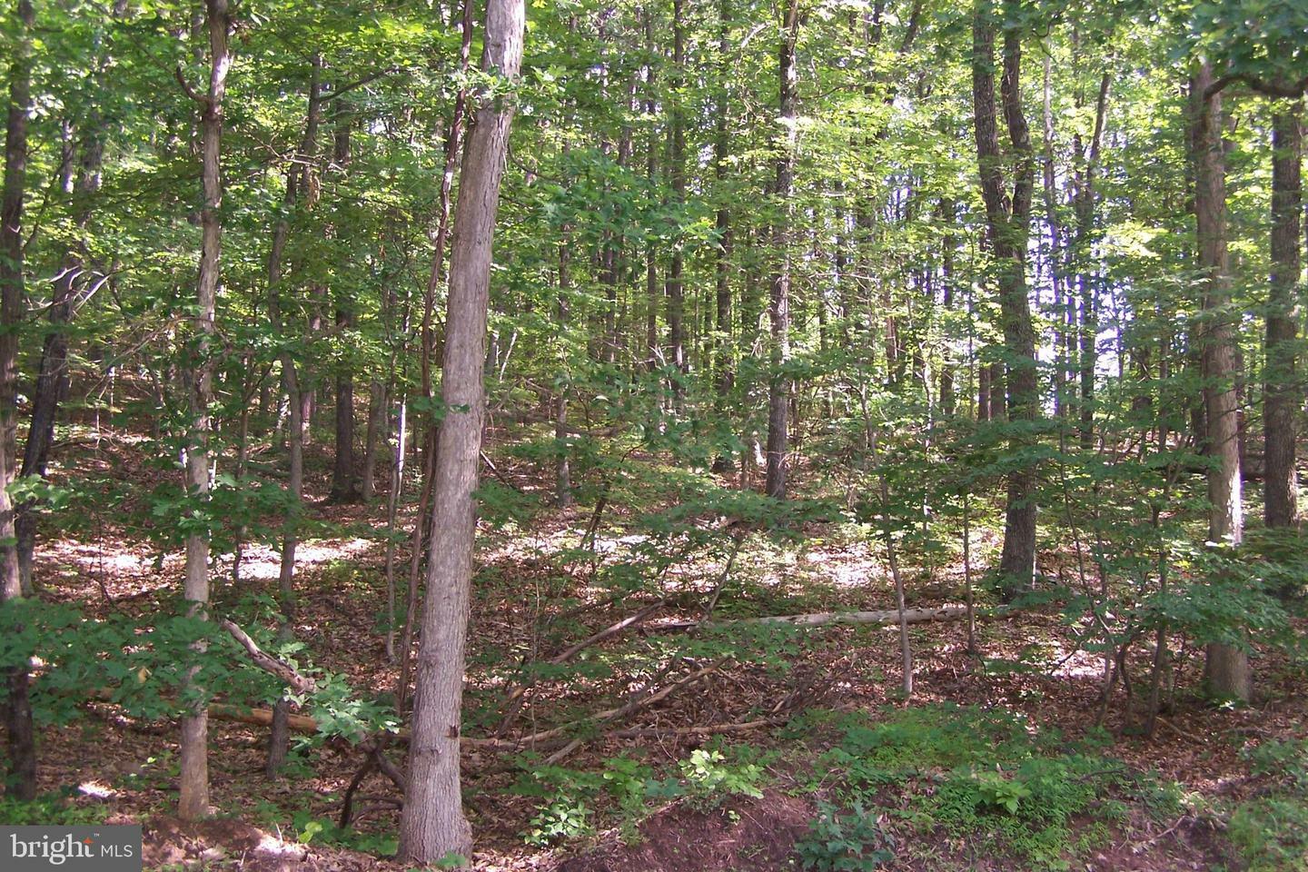 Property Photo: Milo School Road Lot C WV 25422