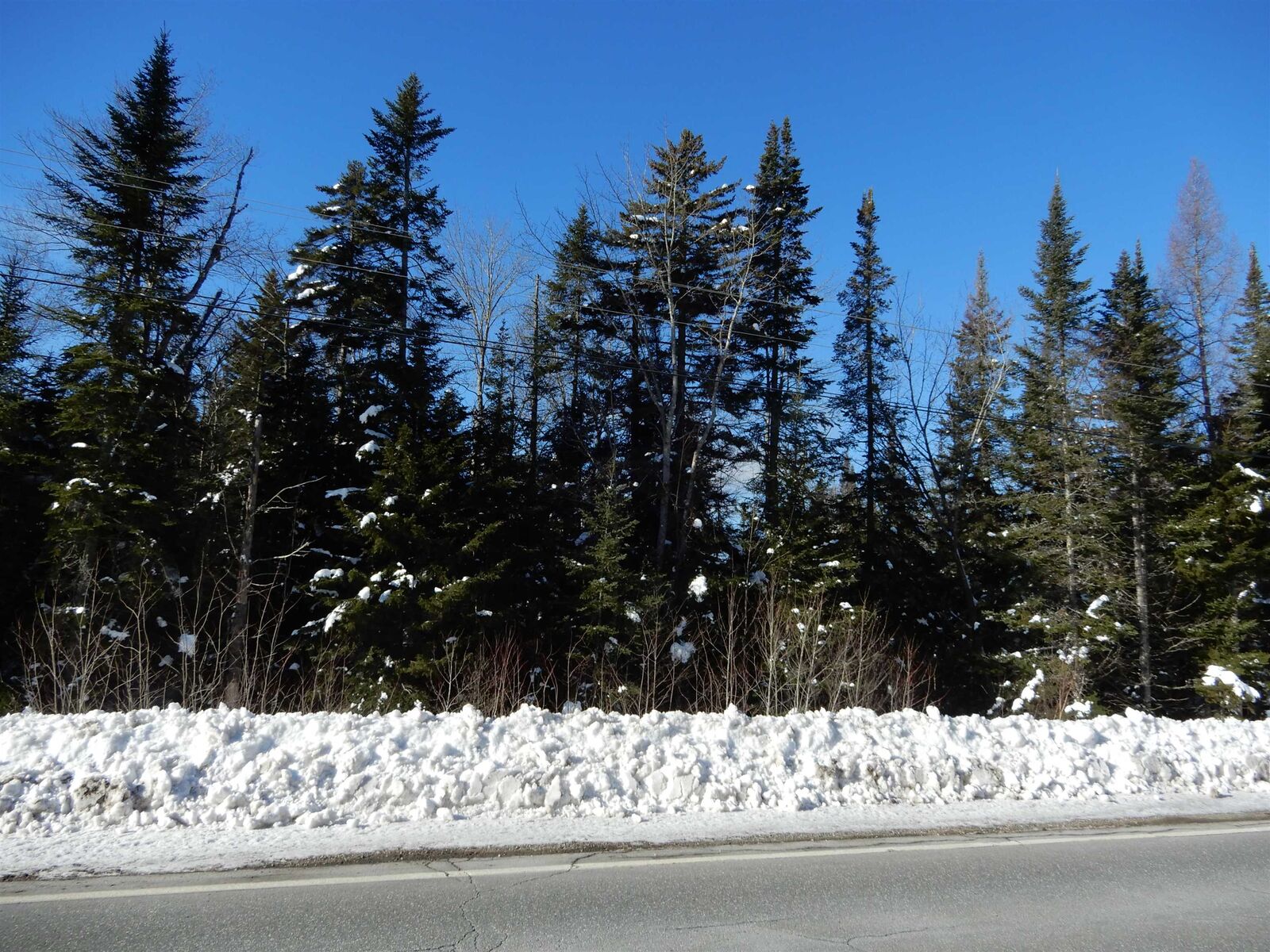 Property Photo:  N.h. Route 4A  NH 03240 