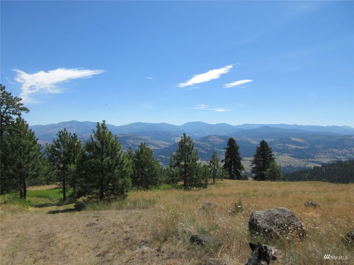 Property Photo:  205 Cromwell Road  WA 99166 