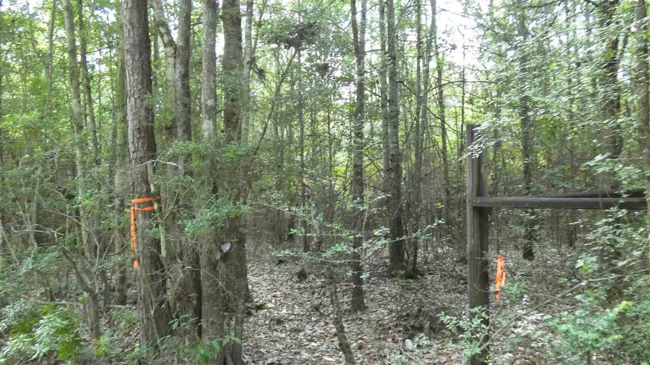 Property Photo:  00 County Road 802  TX 77612 