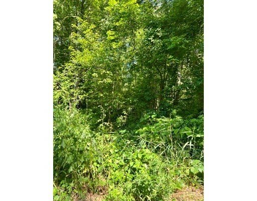 Property Photo: 125 Chilson Rd MA 01095