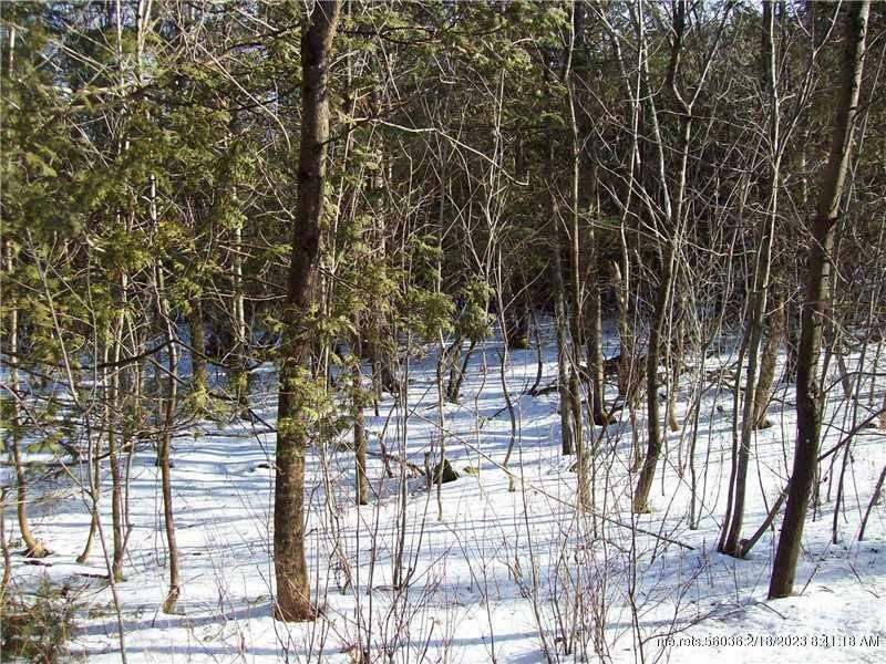 Property Photo:  Lot 86 Gravy Lane  ME 04410 