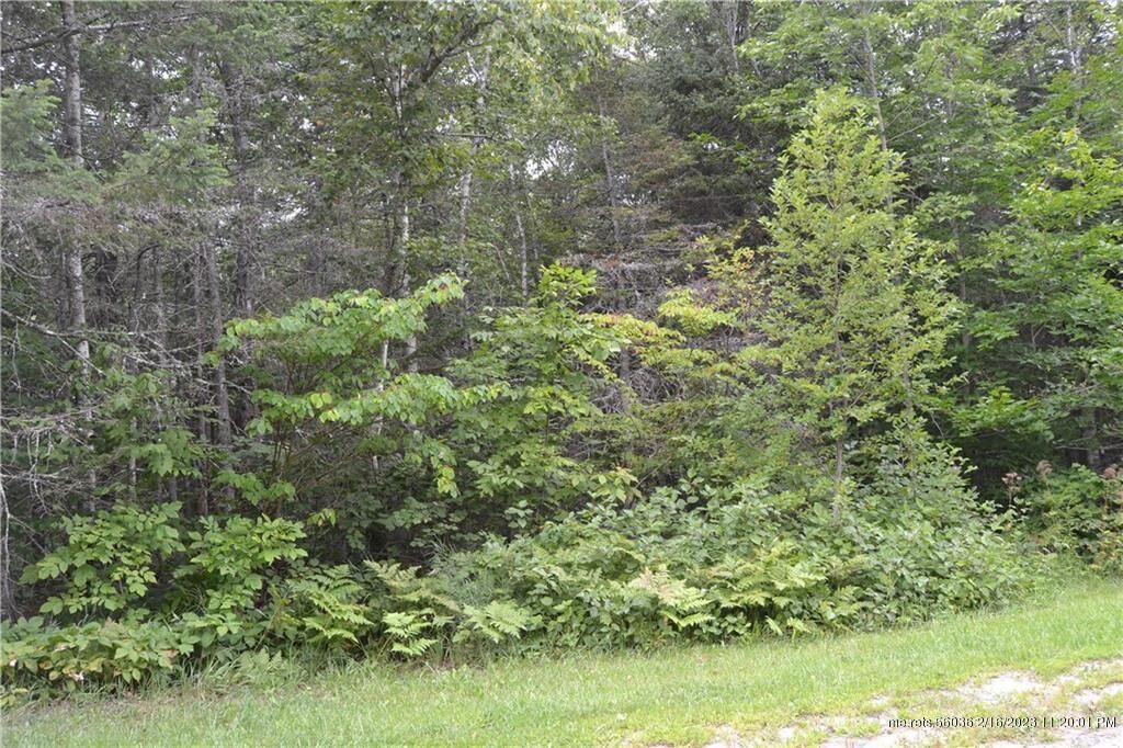 Property Photo:  94 Dodge Mountain Road  ME 04841 
