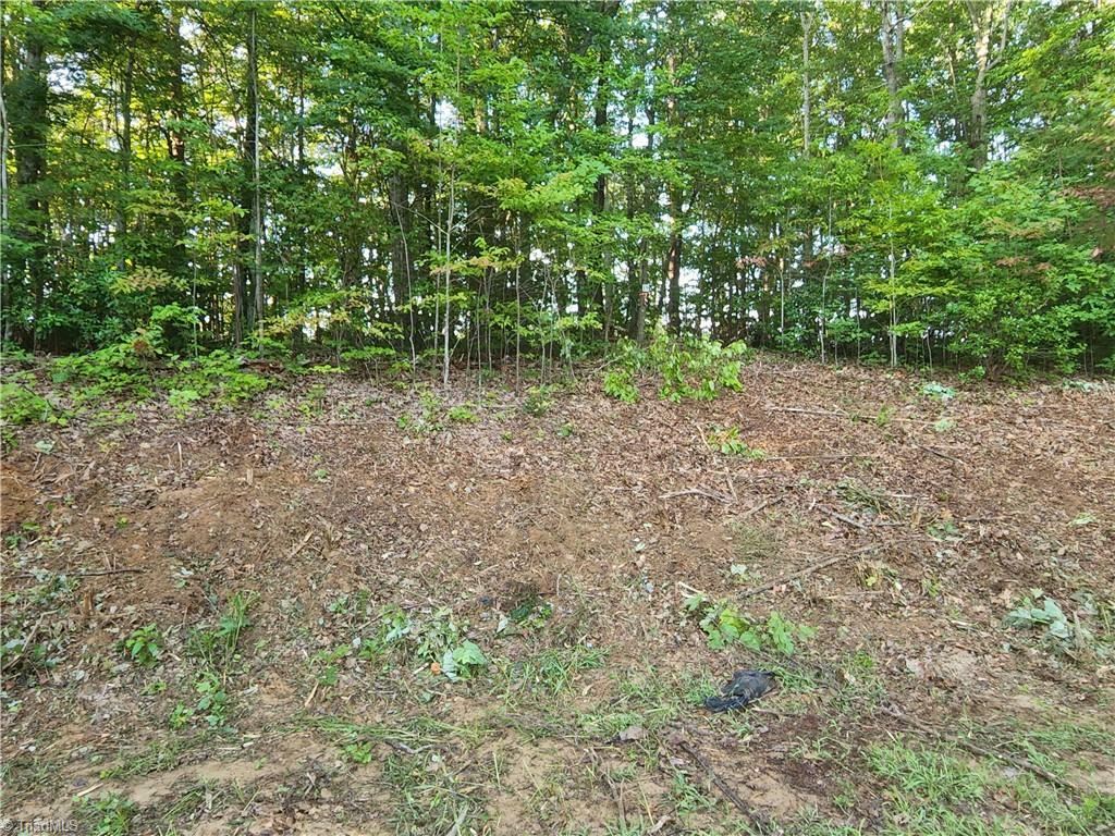 Property Photo:  Lot 19 Jarrett Drive  NC 27052 