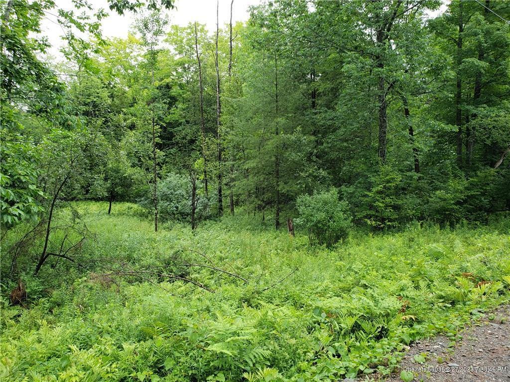 Property Photo: 0 Parkman Road ME 04939