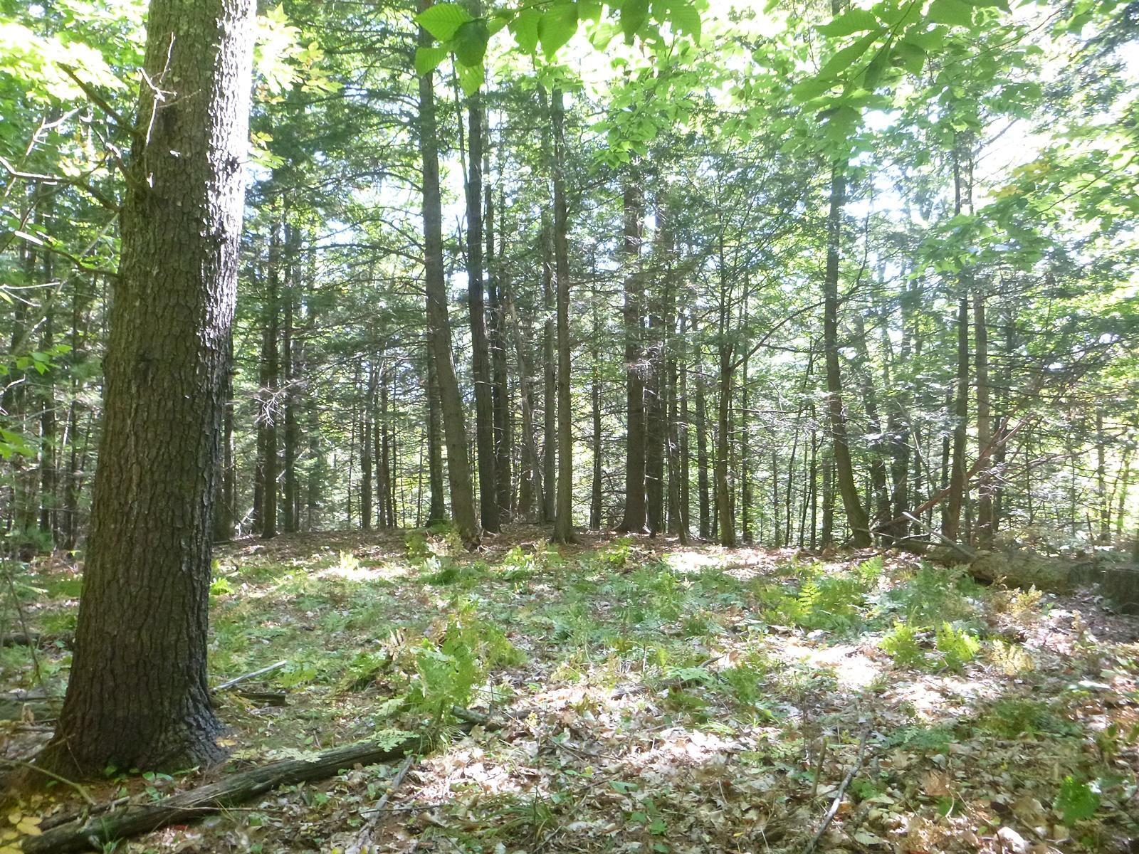 Property Photo: Lot 2 Deer Run Drive ME 04021