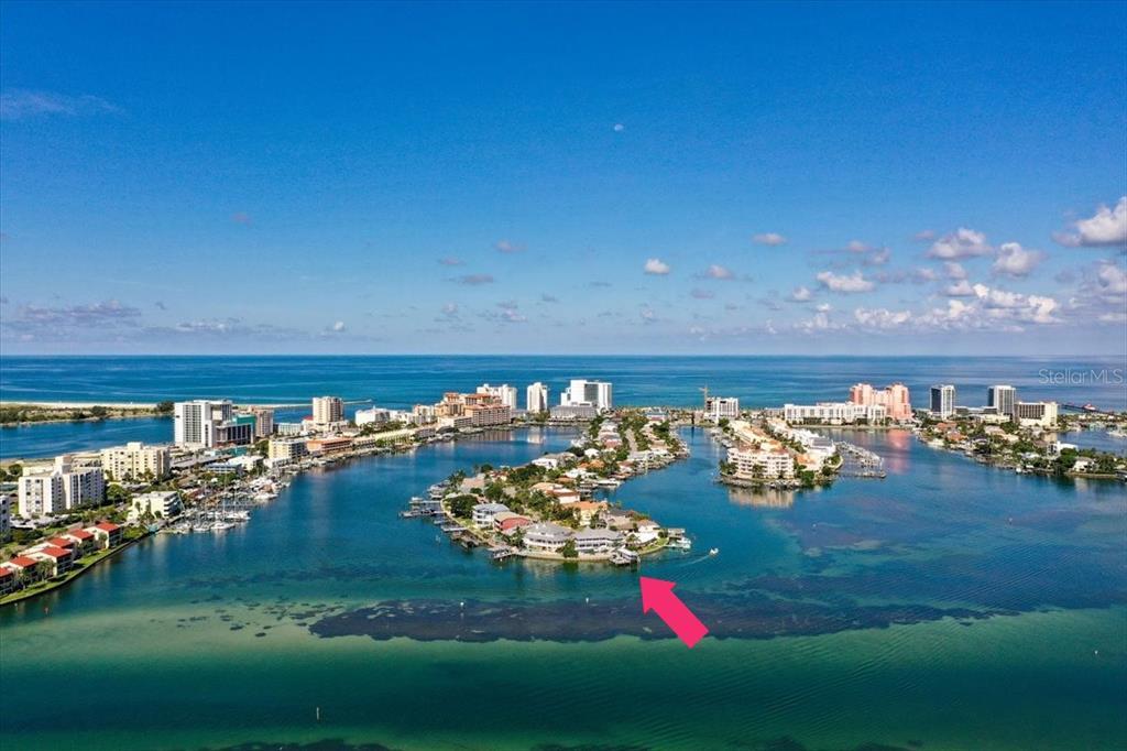 Property Photo:  295 Bayside Drive  FL 33767 