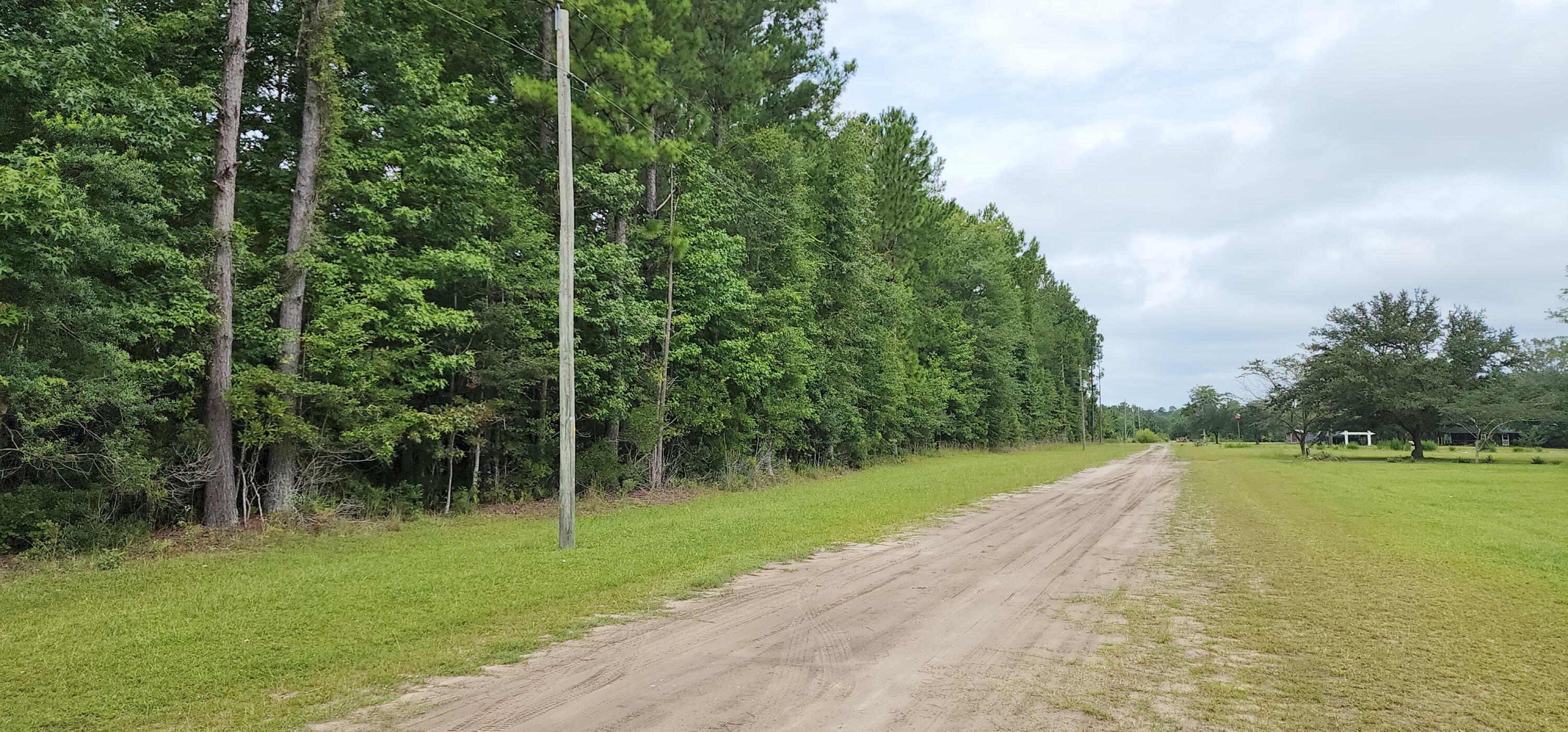 Property Photo:  Lot 3 Skeebs Street  SC 29458 