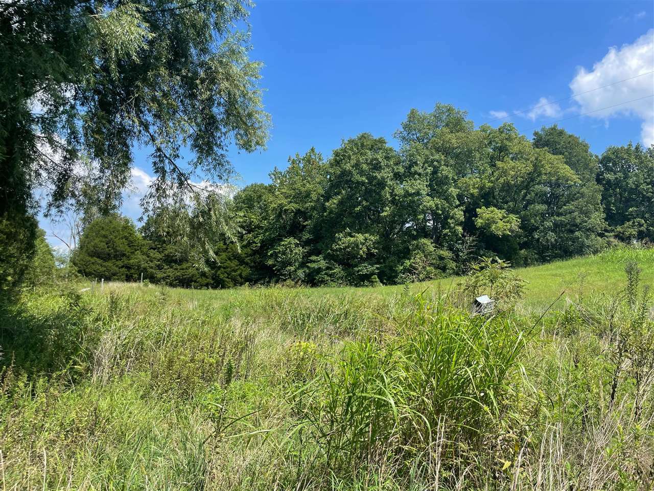 Property Photo:  1390 Mount Zion Road  KY 42101 