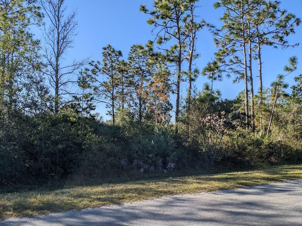 Property Photo: Starry Street Lot 34 FL 32833
