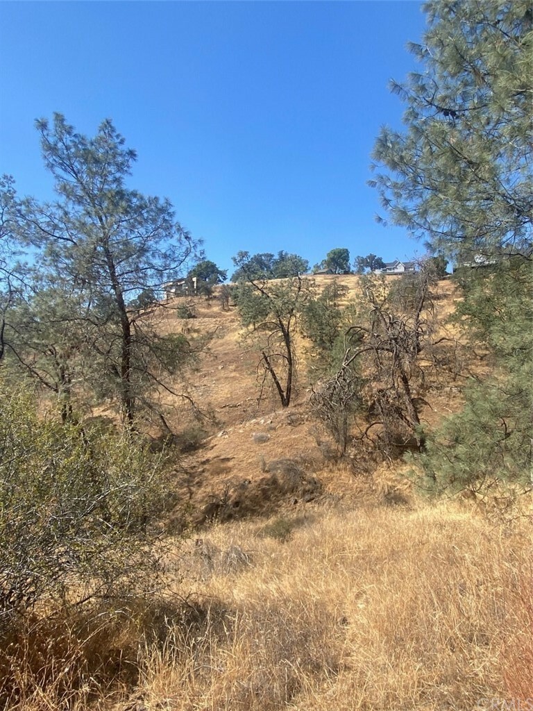 Property Photo:  0 .38 Ac Hidden Lake Boulevard  CA 93626 