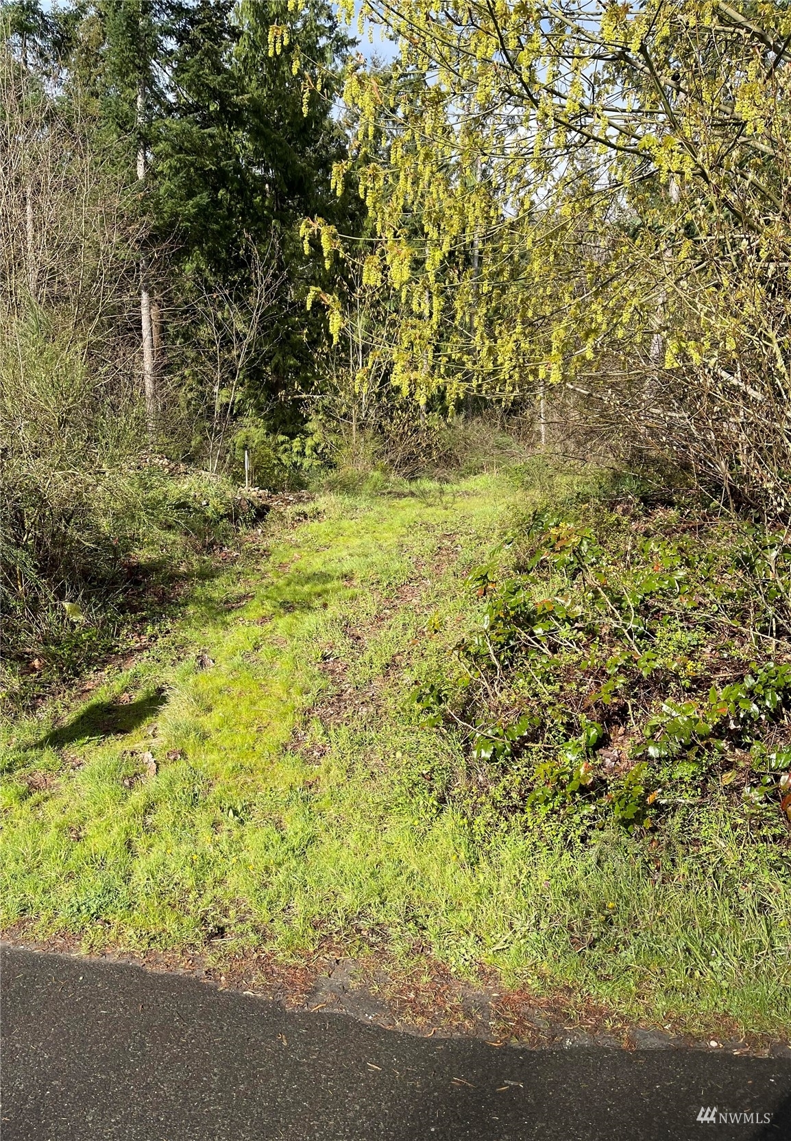 Property Photo:  17905 E Clear Lake Boulevard SE  WA 98597 