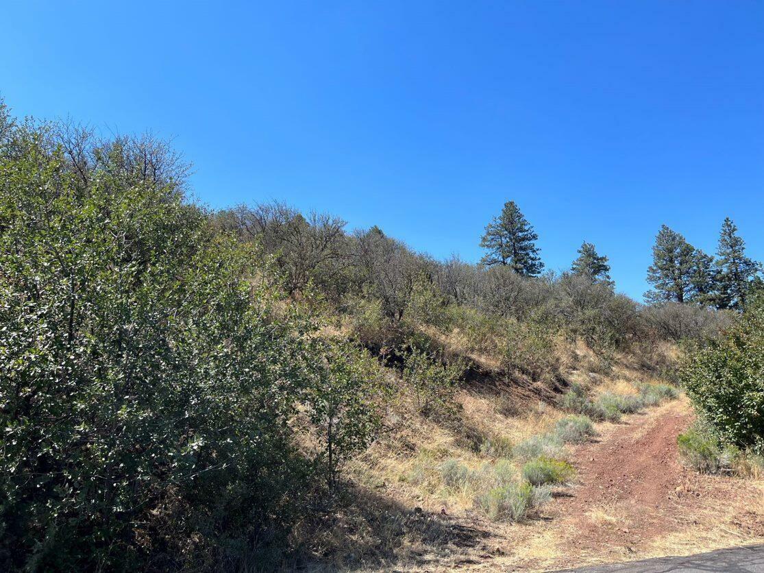 Property Photo:  Lot 55 Peregrine Heights  OR 97601 