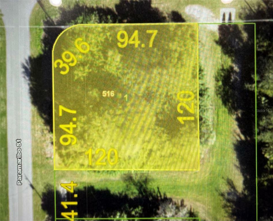 Property Photo: 390 Paramaribo Street FL 33983