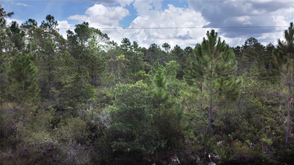 Property Photo:  2459 Old Train Road  FL 32738 