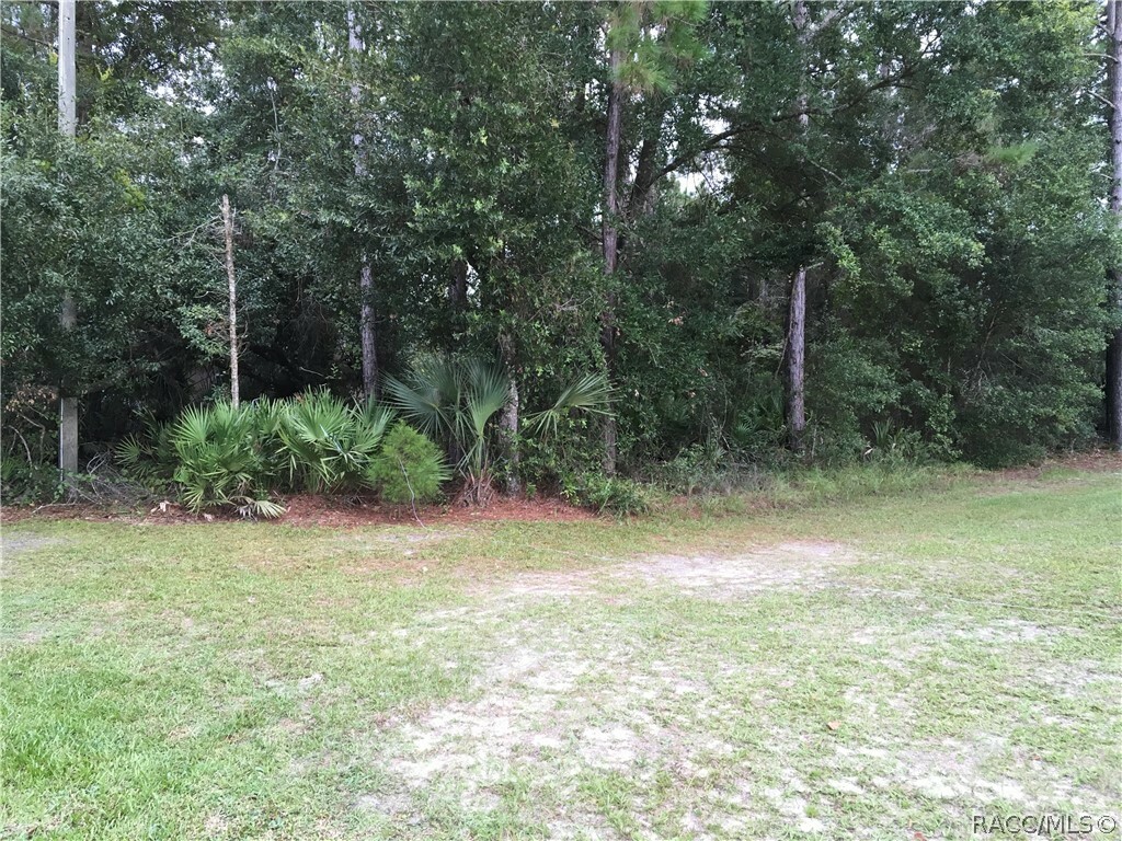 Property Photo:  8000 Briarpatch Street  FL 34446 