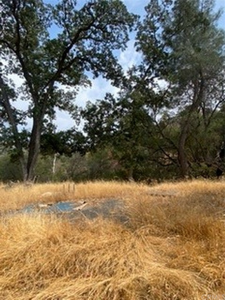 Property Photo:  0 24 Ac Road 600  CA 93601 