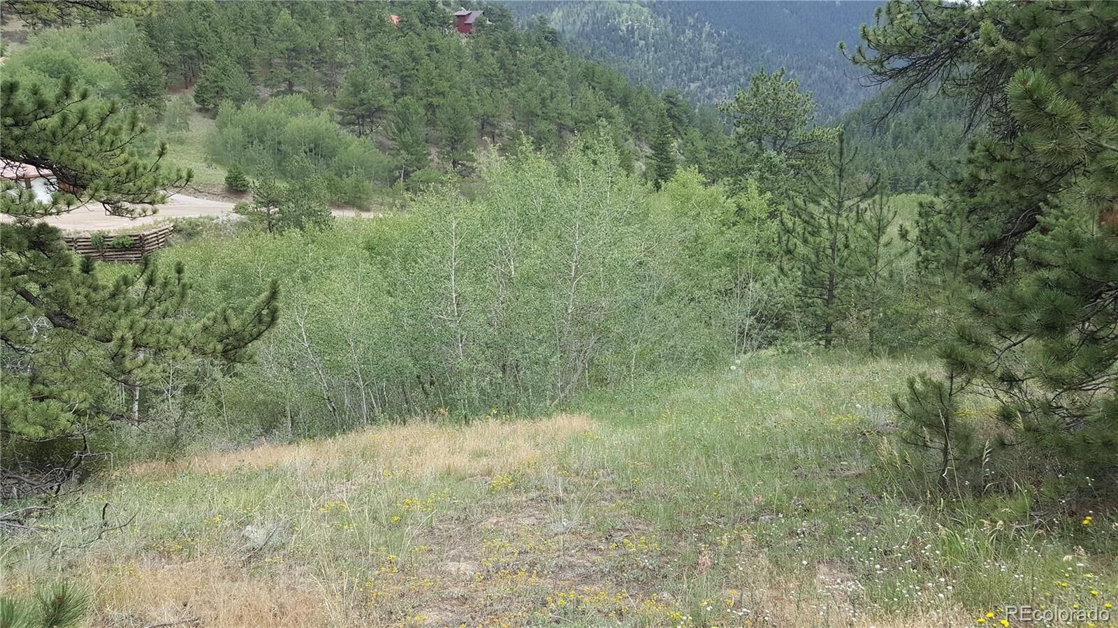 Property Photo: 000 Eureka Lot 35 Street CO 80427