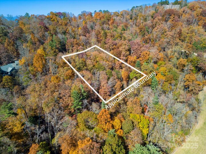Property Photo:  000 Vance Gap Road  NC 28804 