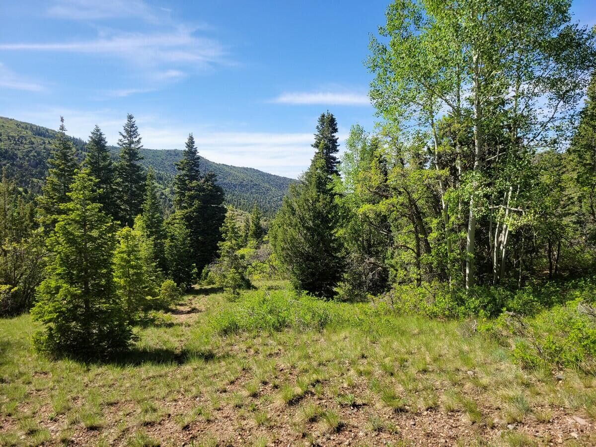 Property Photo:  Braffits Creek Lot 61&62  UT 84719 