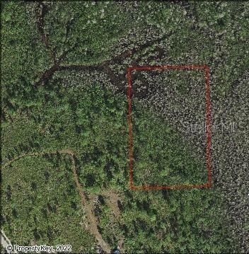 Property Photo:  Holopaw Groves Road  FL 34773 