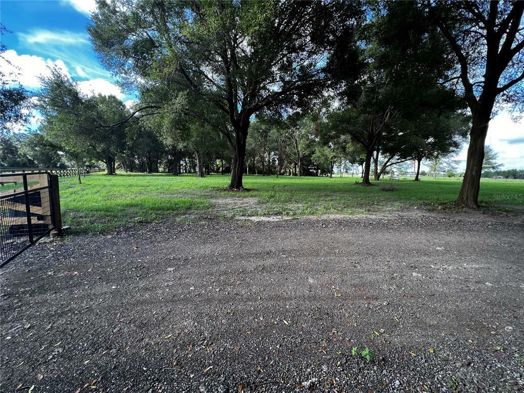 Property Photo:  15171 Peru Road  FL 32784 