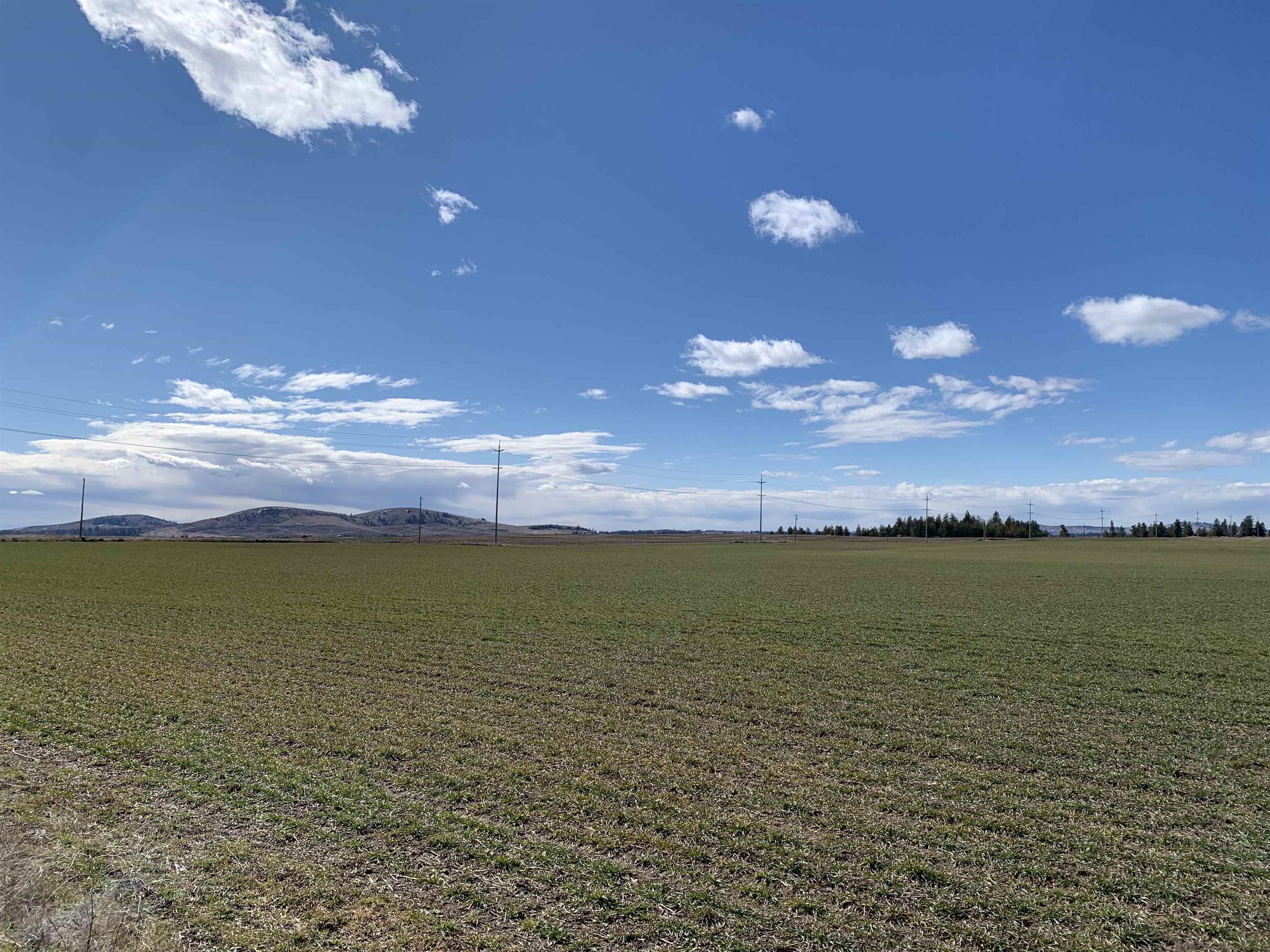 Property Photo: 3600 S Brooks Rd Lot 4 WA 99022