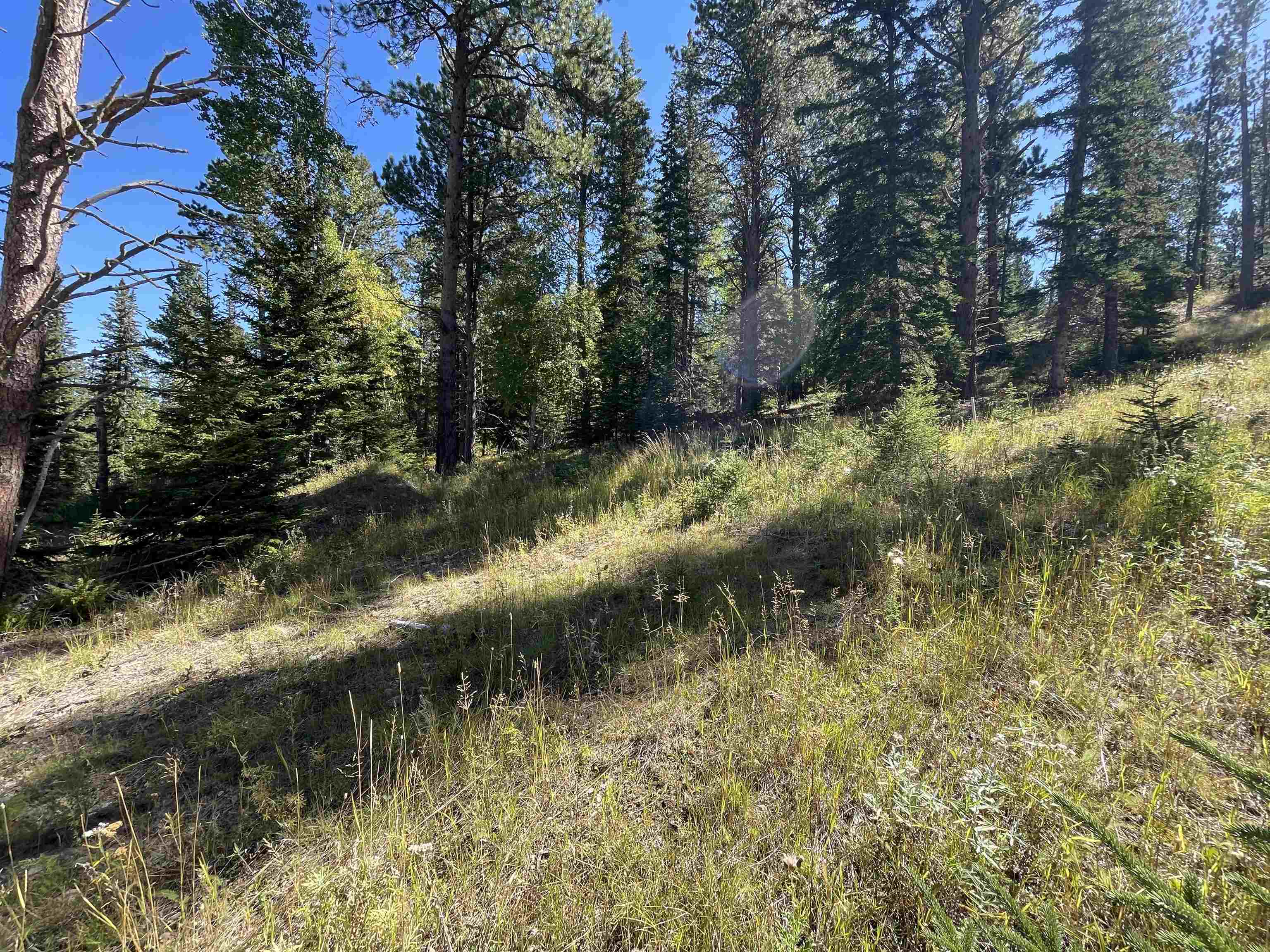 Property Photo:  Lot 40 Woodland Springs Road  SD 57754 