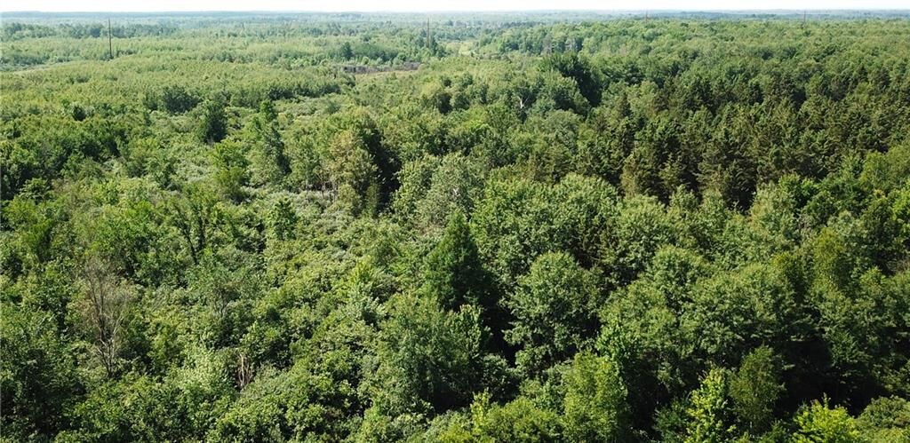 Property Photo:  80 Acres Sheep Ranch Rd.  WI 54848 