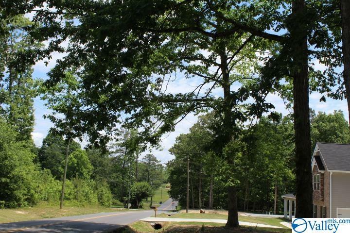 Property Photo:  Lot 1 Hickory Hill Drive NE  AL 35016 