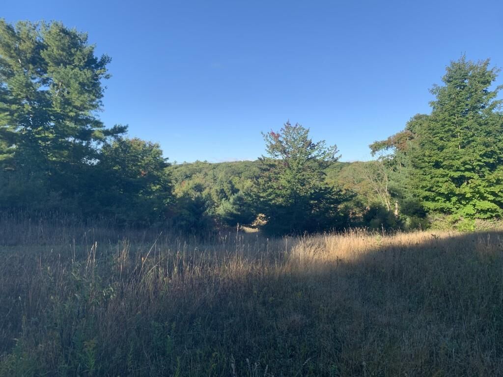 Property Photo:  Tbd S Lake Shore  MI 49740 