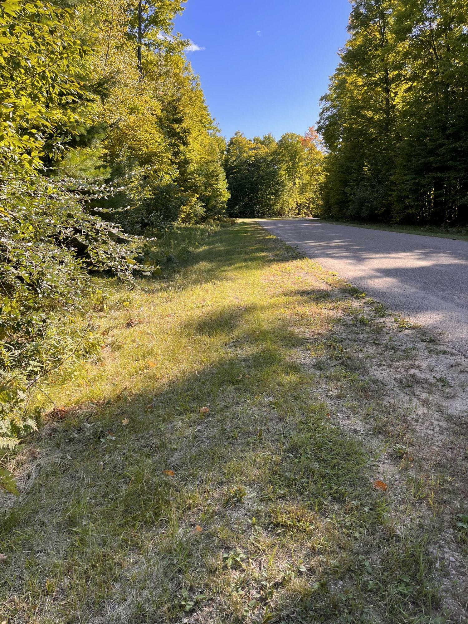 Property Photo:  Deerfield Drive Lot 4  MI 49738 