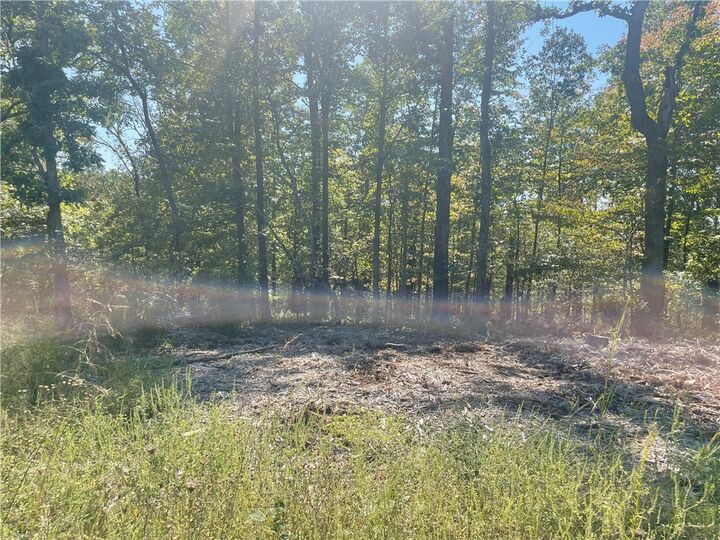 Lot 3, Block 1 Wiston Circle  Bella Vista AR 72714 photo