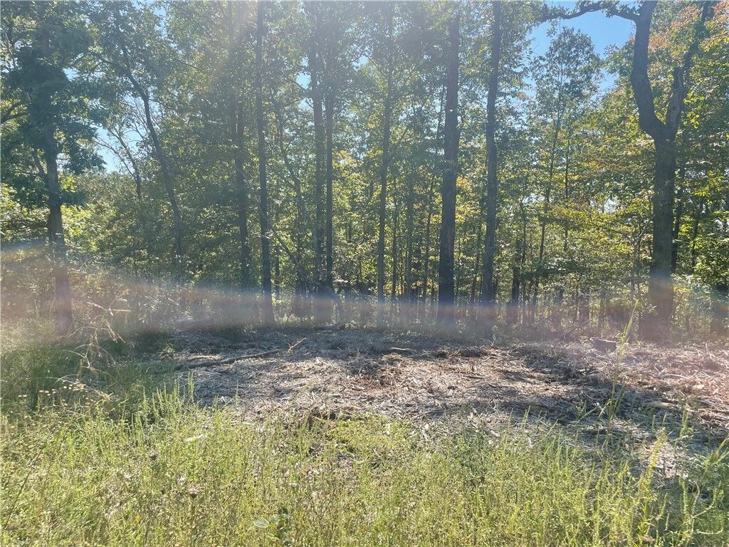 Property Photo: Lot 3, Block 1 Wiston Circle AR 72714