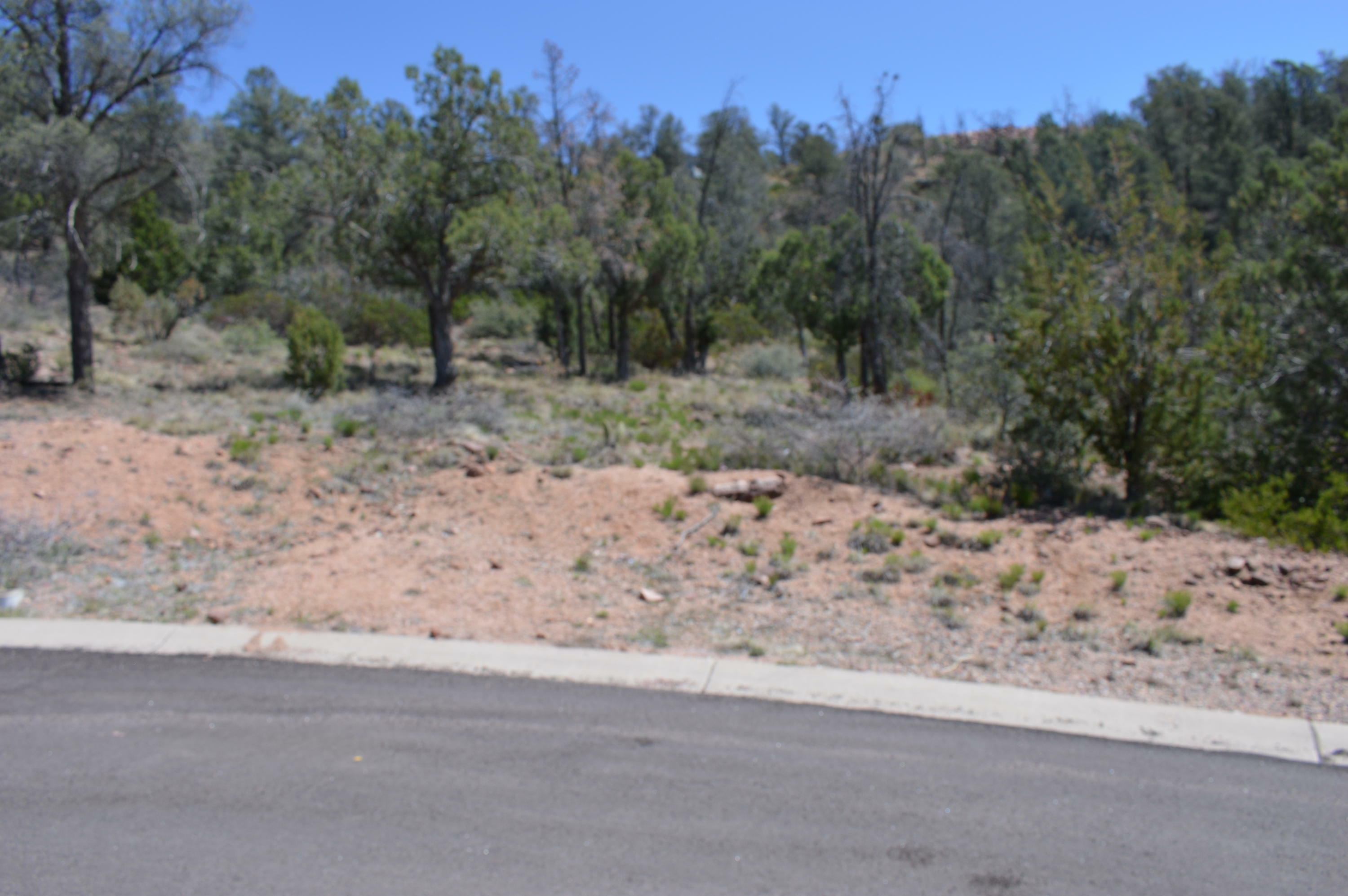 807 N Thunder Ridge Circle  Payson AZ 85541 photo