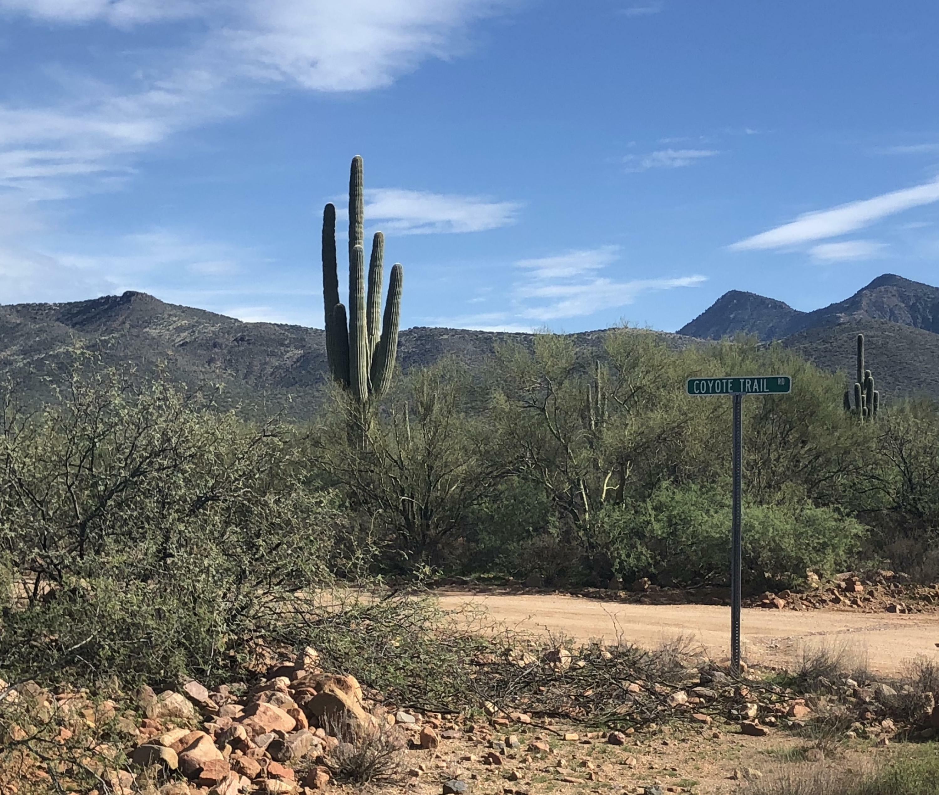 Property Photo:  263 N Coyote Trail Road  AZ 85553 