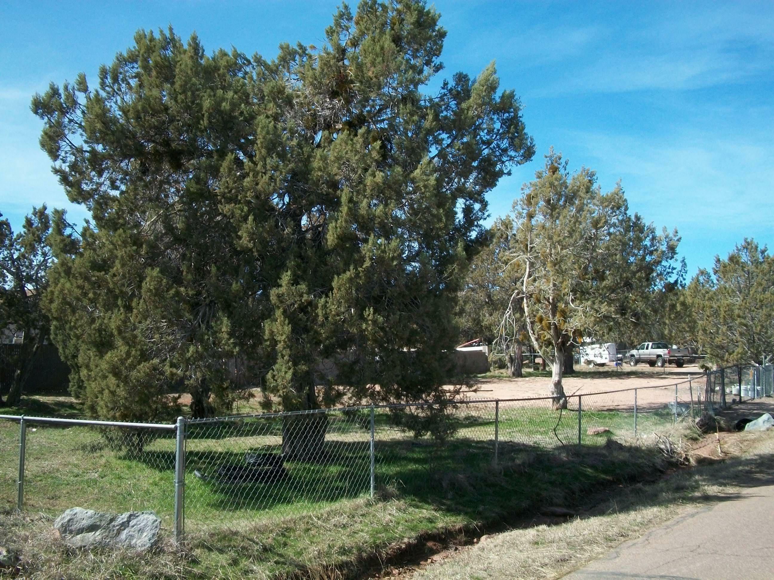 704 N Vista Road  Payson AZ 85541 photo