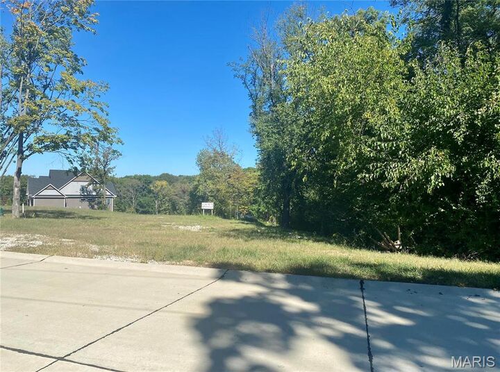 Property Photo: 2017 Lily Avenue MO 63122