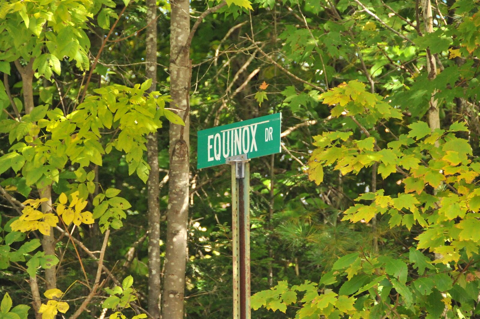 Property Photo: Equinox Drive 6 NH 03223