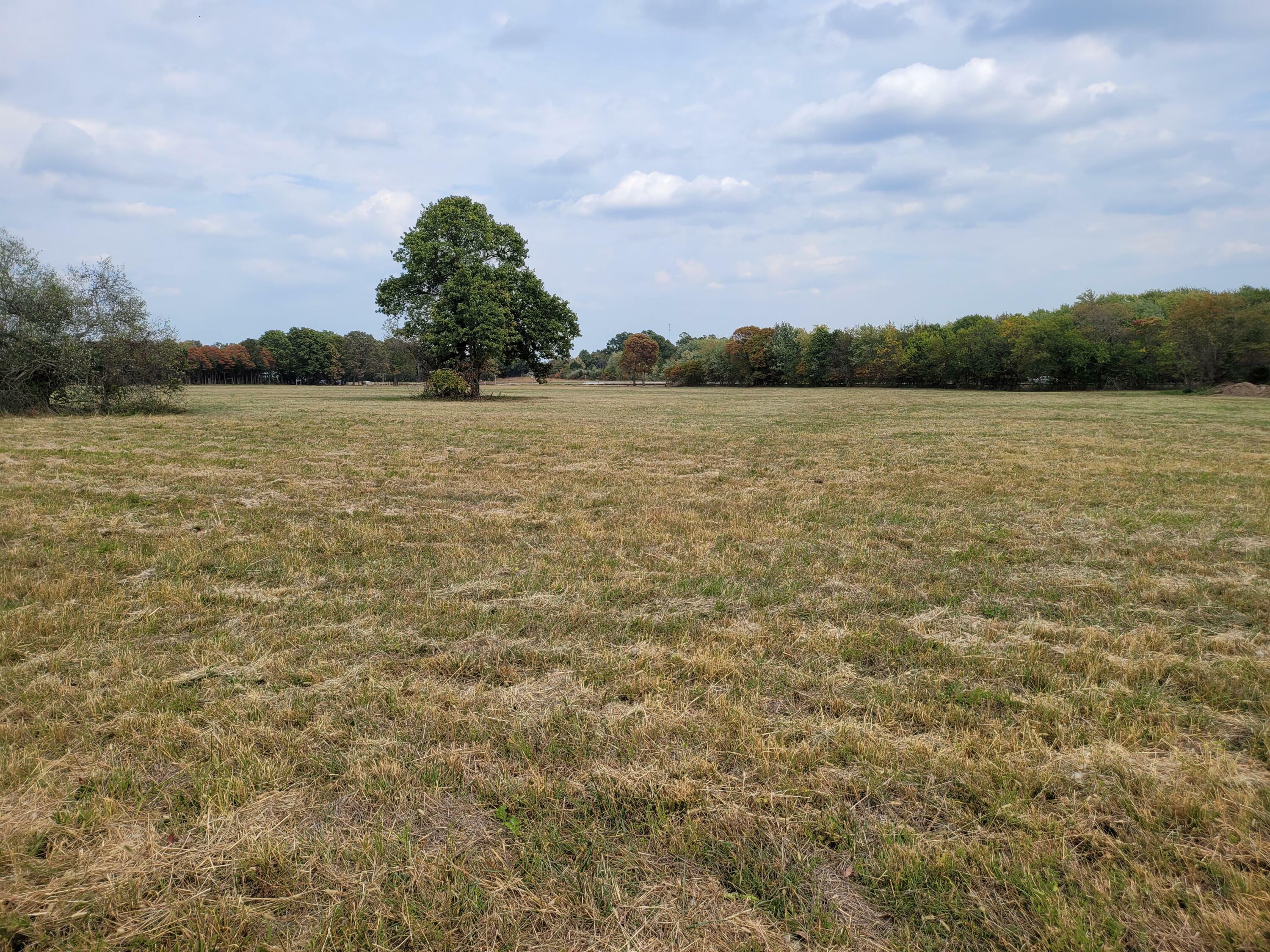 Property Photo:  Tract 1 Highway 60  MO 65610 