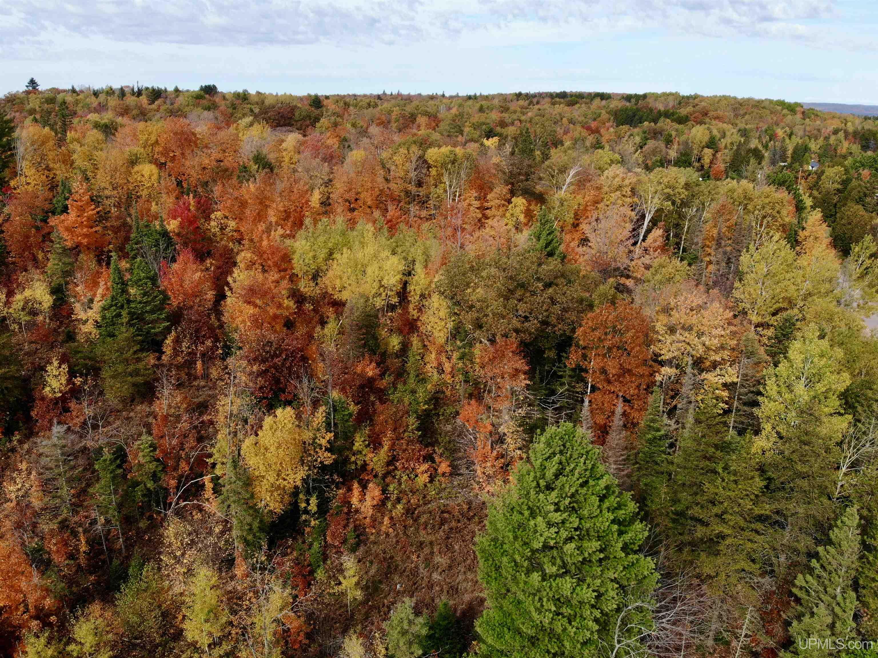 Tbd. Co Rd Cl  Ishpeming MI 49849 photo