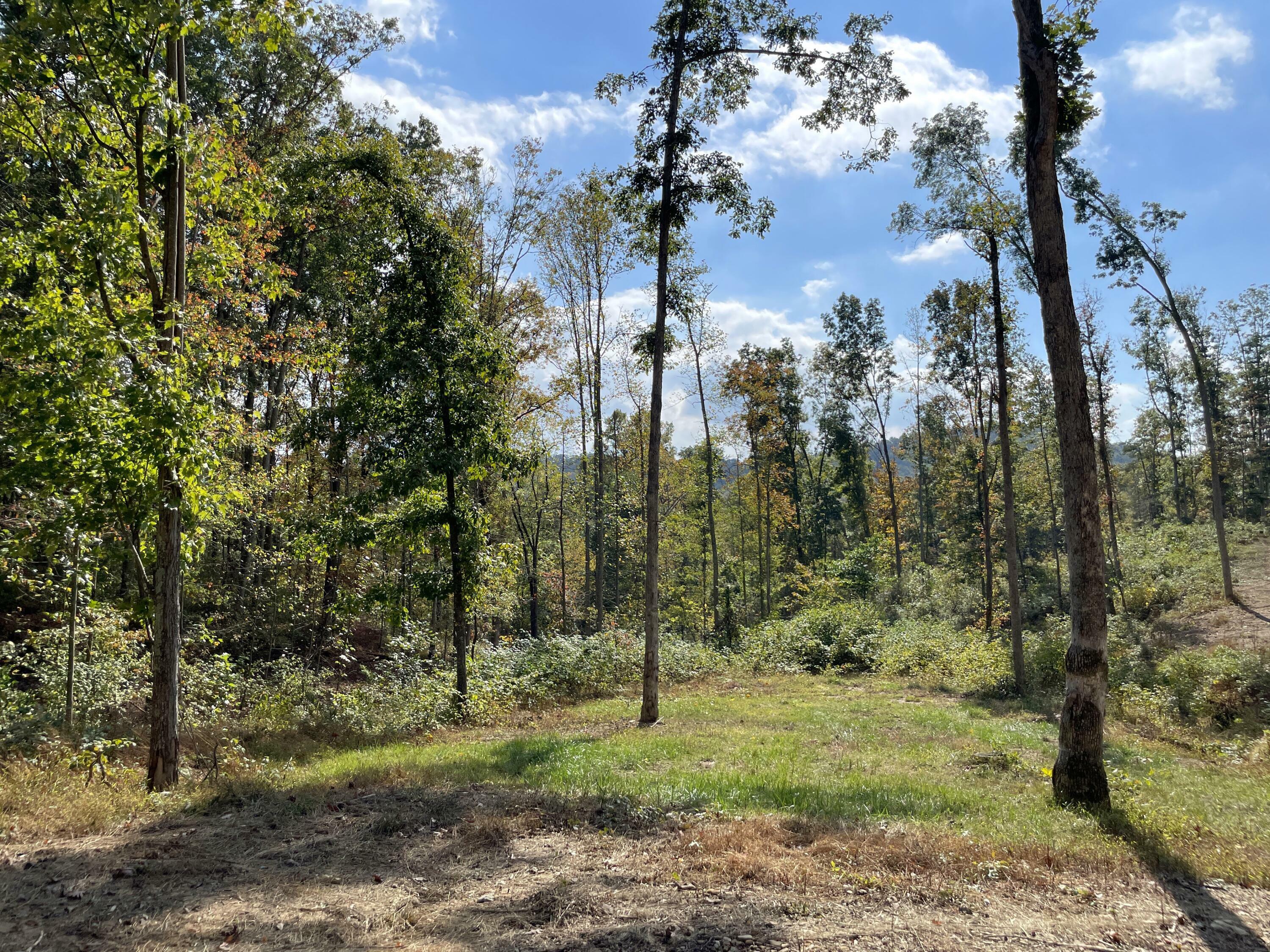 Property Photo:  5762 SR 781 Lot# 7  OH 45660 