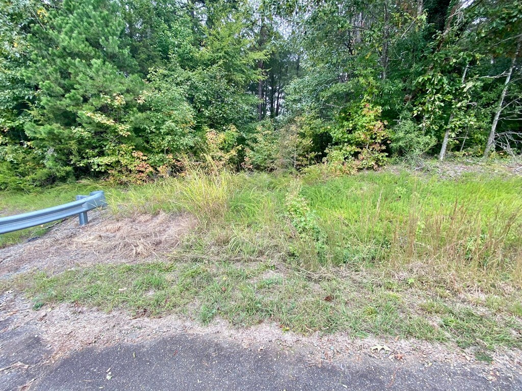 Property Photo:  0.86 Ac. Iron Gate Road  VA 23927 