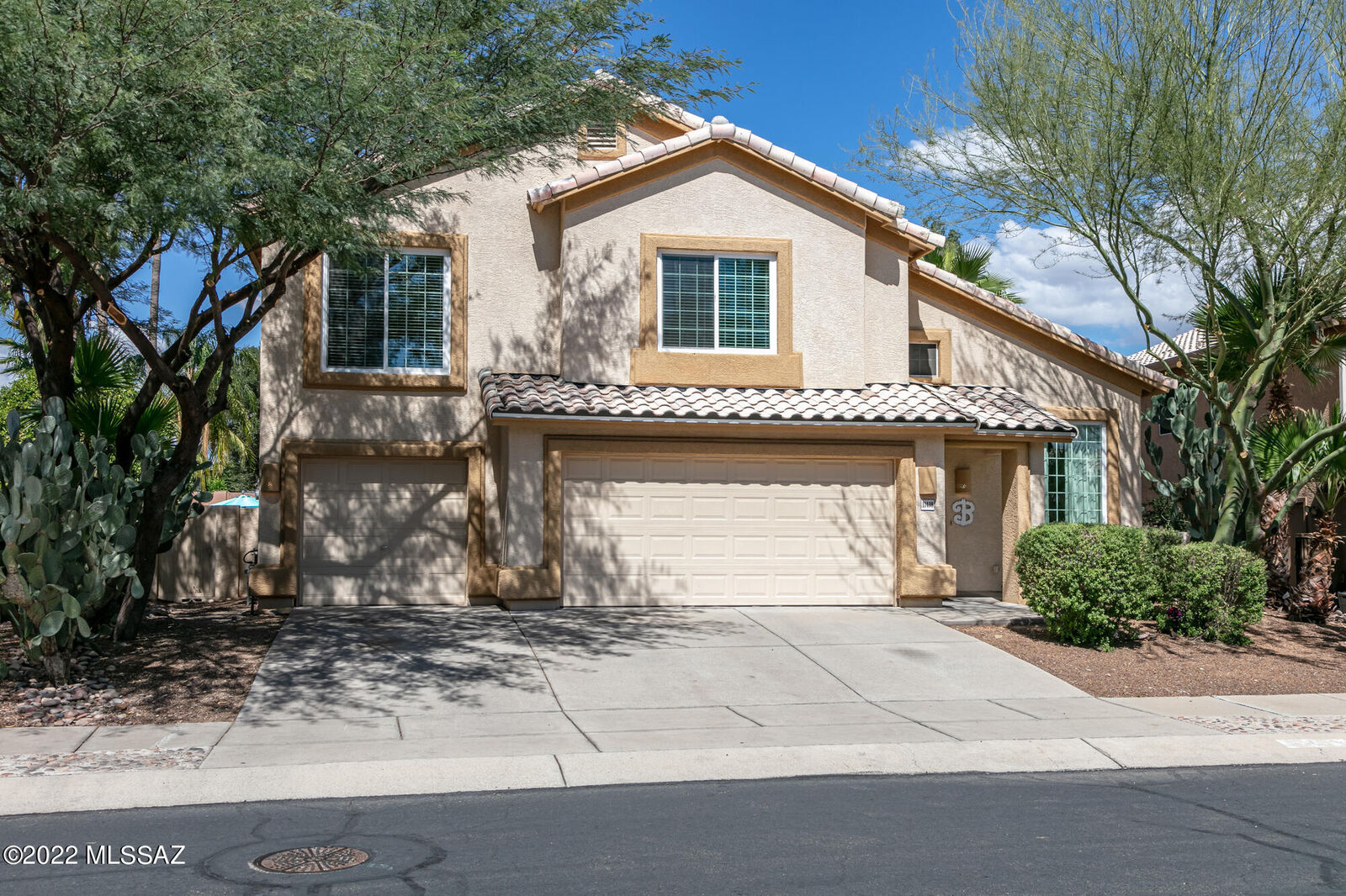 Property Photo:  11438 N Silver Pheasant Loop  AZ 85737 