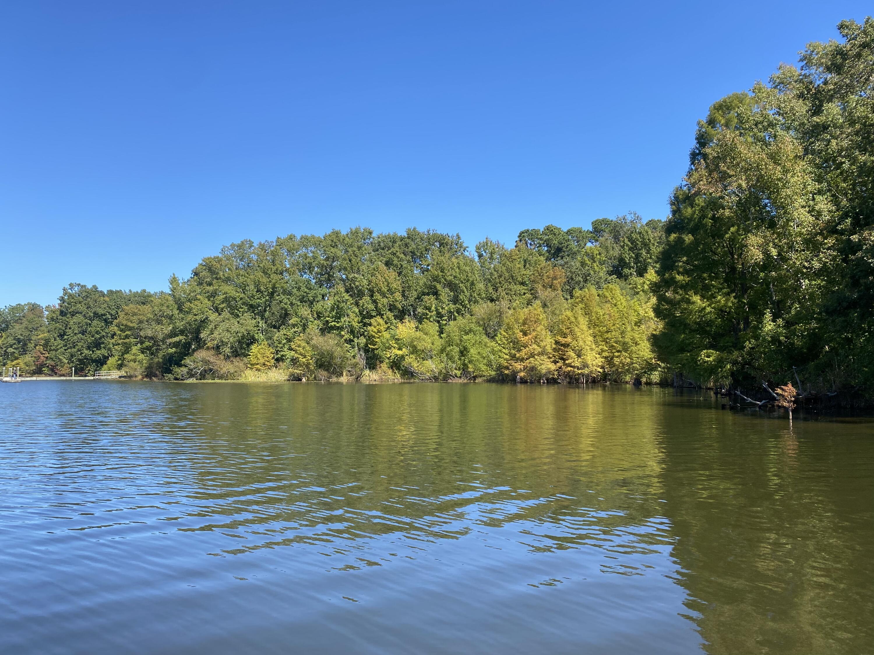 Property Photo:  000 William Brunson Road  SC 29148 