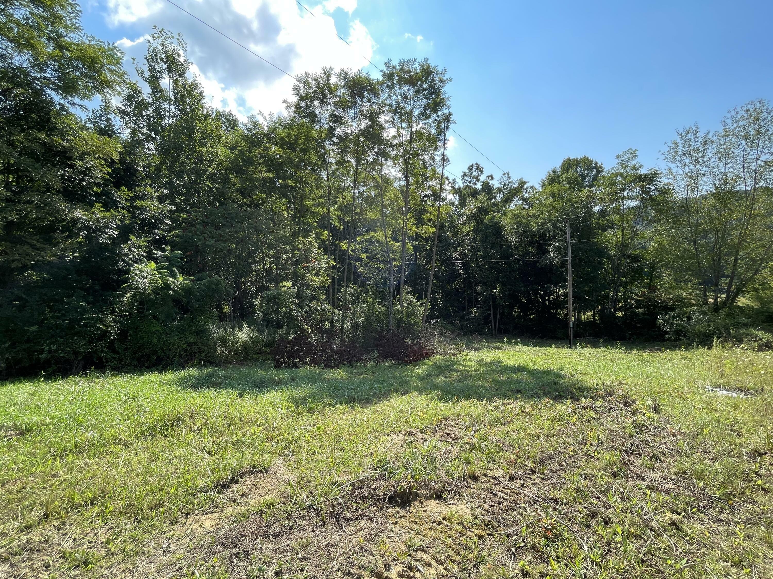 Property Photo:  Keeney Mountain Rd  WV 25985 