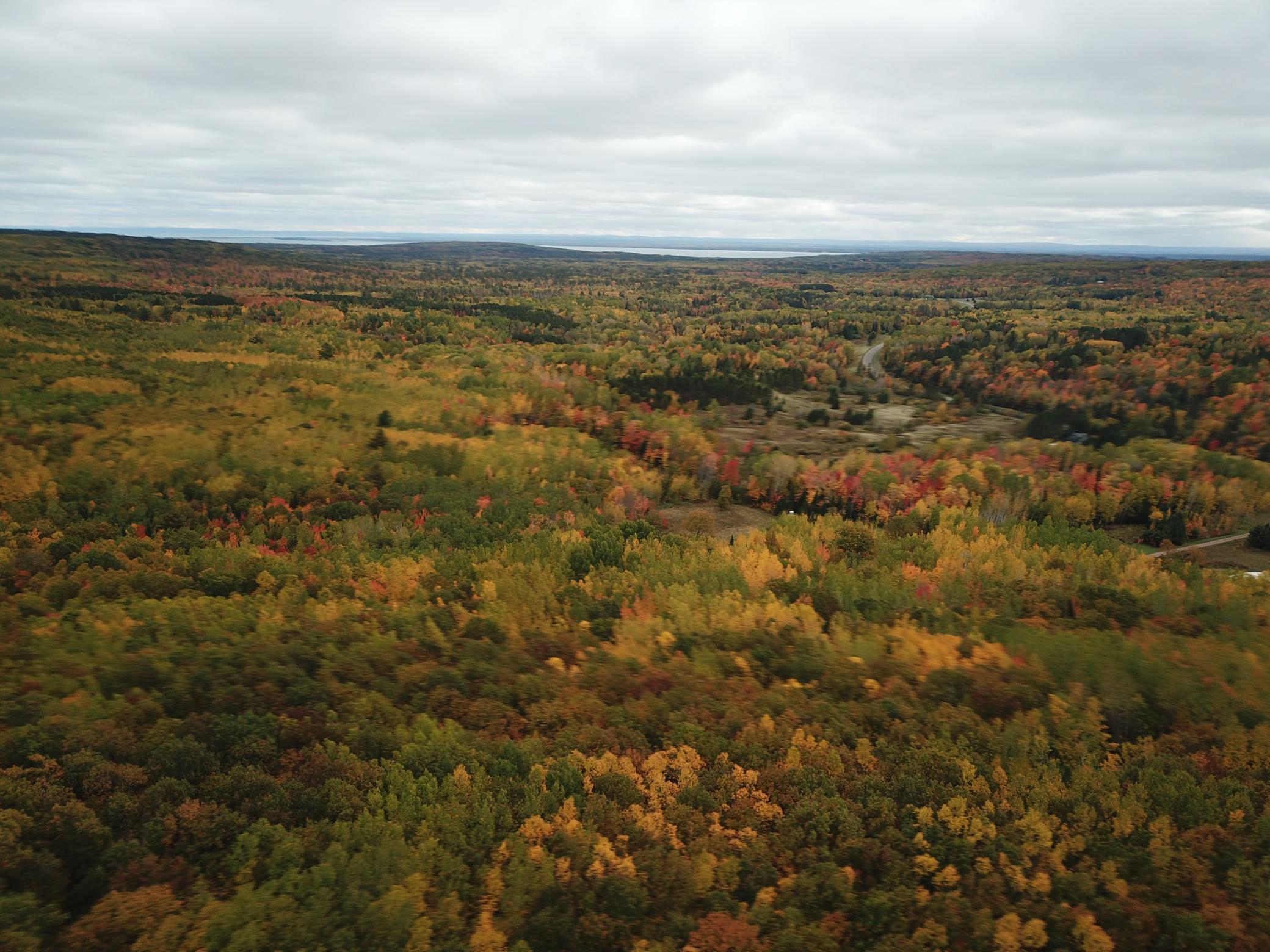 Property Photo: 000 Friendly Valley Road WI 54891
