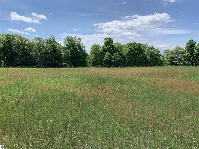 Property Photo: Tbd W Grass Lake Road MI 48632
